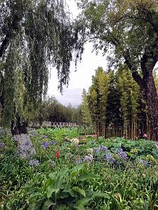 KUNMING - Parc Daguan - 64